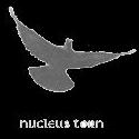 Nucleus Torn
