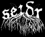 Seidr